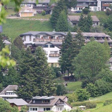 Todnauerberg Hotel Im Schwarzwald Todtnauberg Exteriér fotografie