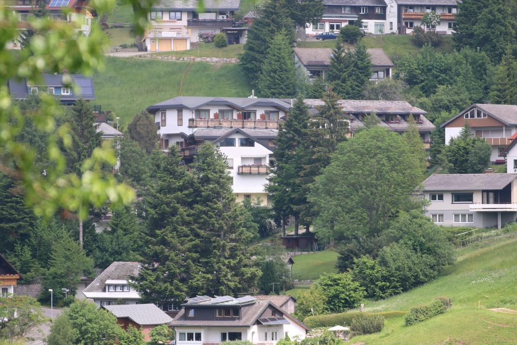 Todnauerberg Hotel Im Schwarzwald Todtnauberg Exteriér fotografie