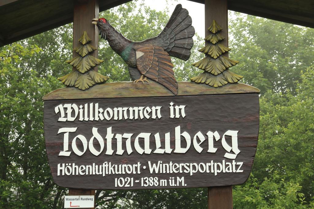 Todnauerberg Hotel Im Schwarzwald Todtnauberg Exteriér fotografie