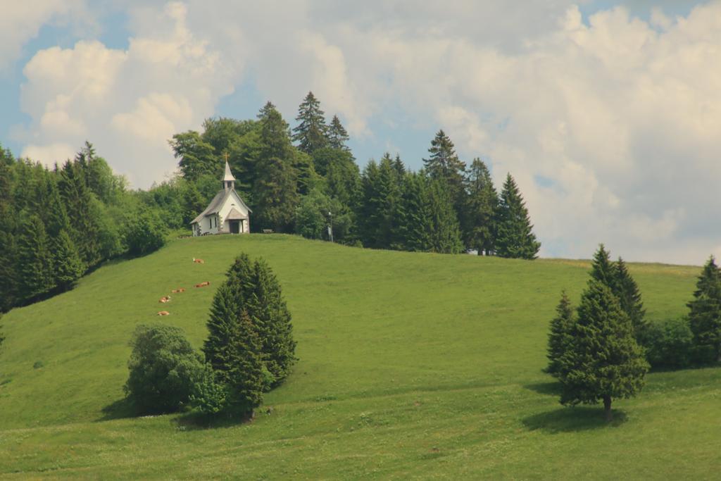 Todnauerberg Hotel Im Schwarzwald Todtnauberg Exteriér fotografie