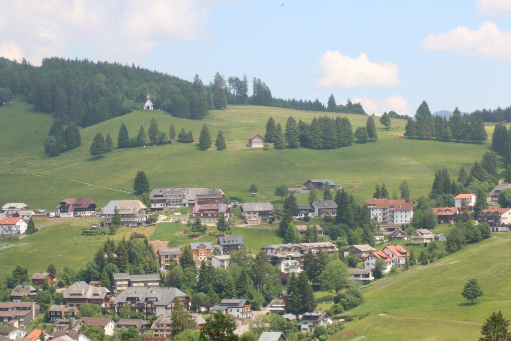 Todnauerberg Hotel Im Schwarzwald Todtnauberg Exteriér fotografie