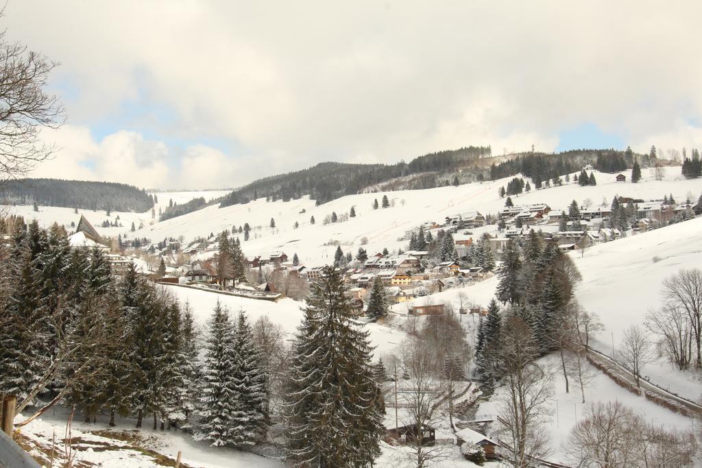 Todnauerberg Hotel Im Schwarzwald Todtnauberg Exteriér fotografie