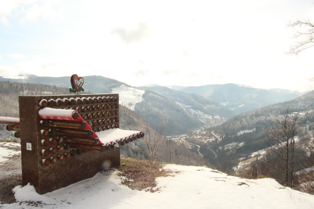 Todnauerberg Hotel Im Schwarzwald Todtnauberg Exteriér fotografie