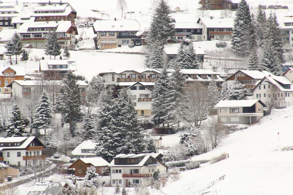 Todnauerberg Hotel Im Schwarzwald Todtnauberg Exteriér fotografie