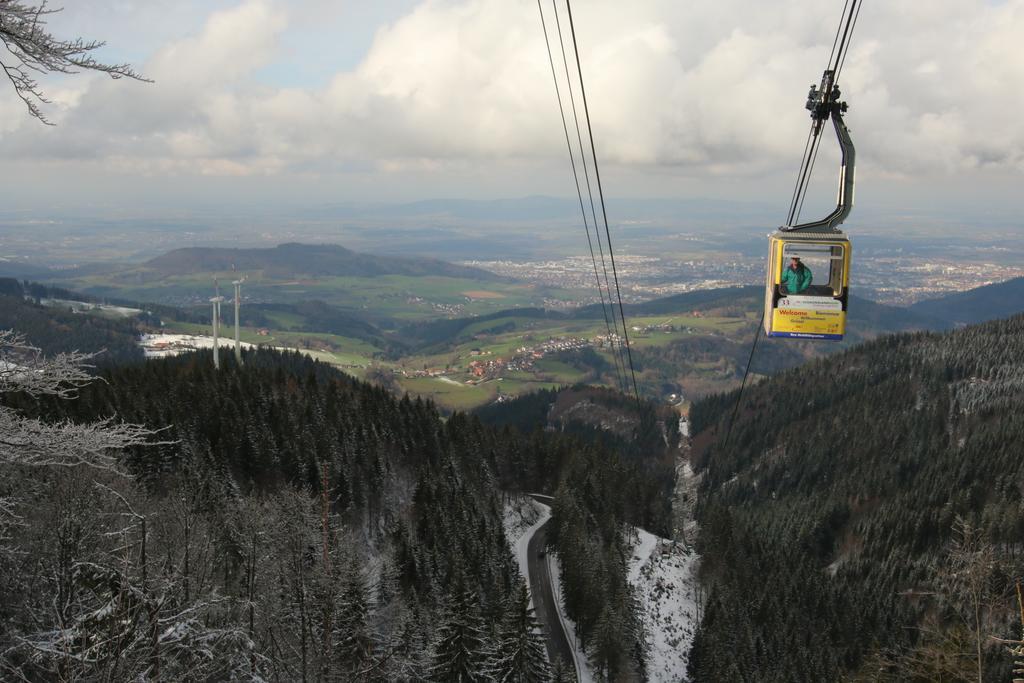 Todnauerberg Hotel Im Schwarzwald Todtnauberg Exteriér fotografie