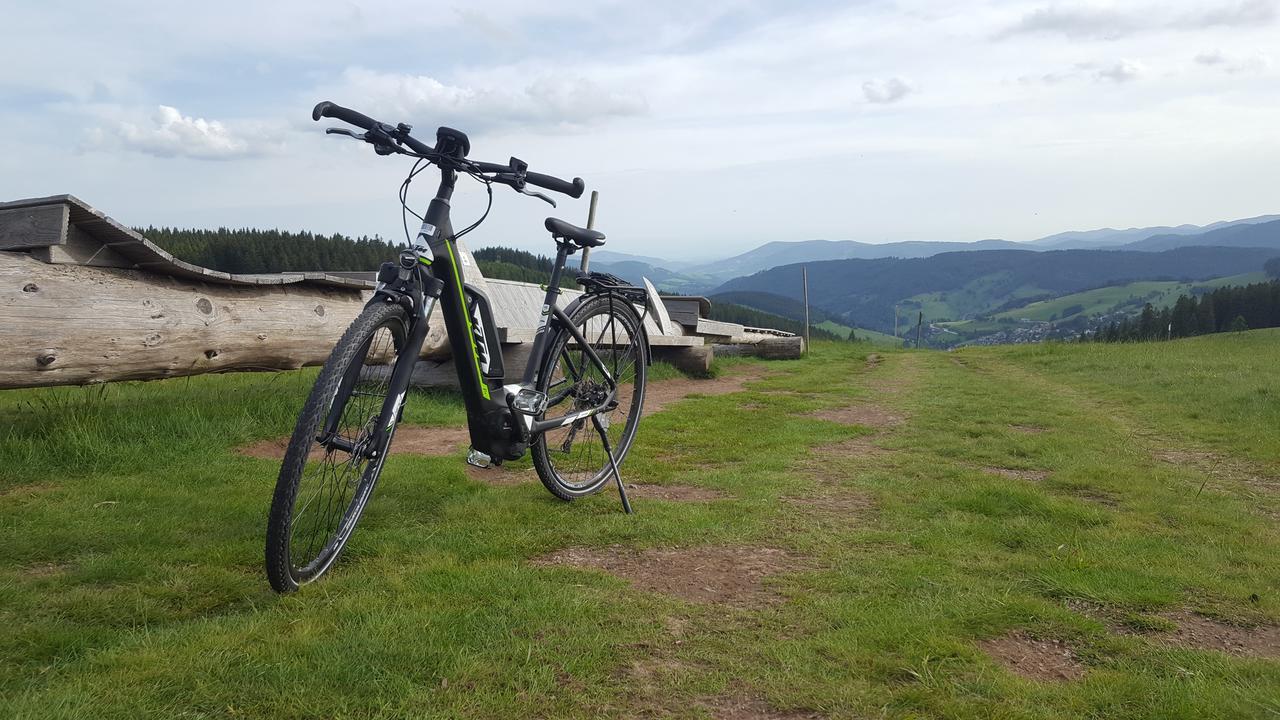 Todnauerberg Hotel Im Schwarzwald Todtnauberg Exteriér fotografie